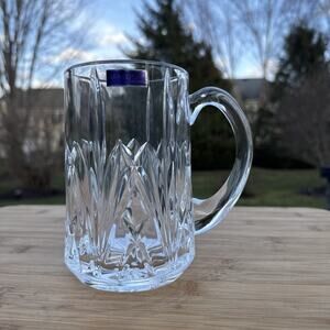 Marquis by Waterford Brookside Beerstein Glass Mug Germany